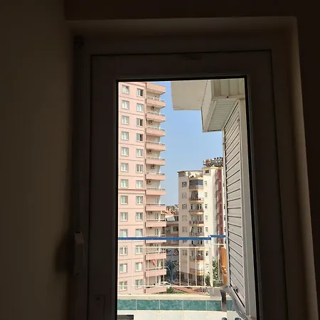 Palm Private *